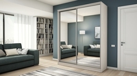 Шкаф-купе ВИКТОРИ 18